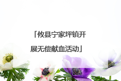 攸县宁家坪镇开展无偿献血活动