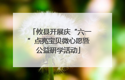 攸县开展庆“六一”点亮宝贝微心愿暨公益研学活动