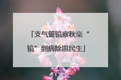 支气管镜察秋毫“镜”到病除惠民生