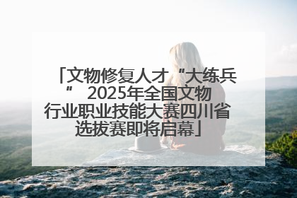 文物修复人才“大练兵” 2025年全国文物行业职业技能大赛四川省选拔赛即将启幕