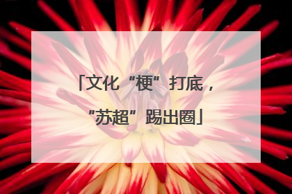 文化“梗”打底，“苏超”踢出圈