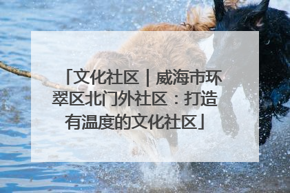 文化社区｜威海市环翠区北门外社区：打造有温度的文化社区
