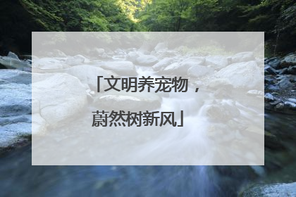 文明养宠物,蔚然树新风