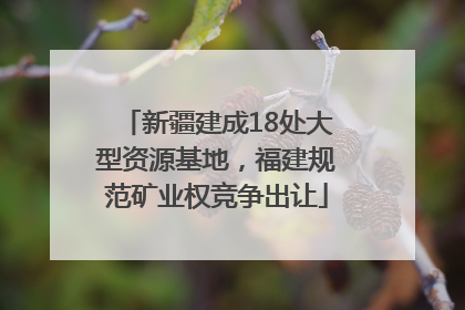 新疆建成18处大型资源基地，福建规范矿业权竞争出让