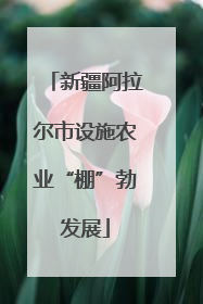 新疆阿拉尔市设施农业“棚”勃发展
