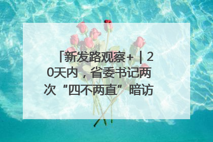 新发路观察+｜20天内，省委书记两次“四不两直”暗访，有何深意？