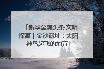 新华全媒头条·文明探源｜金沙遗址：太阳神鸟起飞的地方