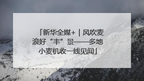 新华全媒+｜风吹麦浪好“丰”景——多地小麦机收一线见闻