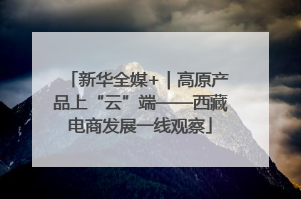 新华全媒+｜高原产品上“云”端——西藏电商发展一线观察