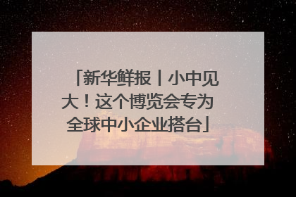 新华鲜报丨小中见大！这个博览会专为全球中小企业搭台