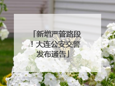 新增严管路段！大连公安交警发布通告