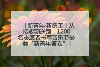 新青年·新德工丨从接驳到送别，1200名志愿者书写音乐节最美“新青年答卷”