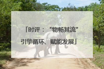 时评：“物畅其流”引擎循环、赋能发展
