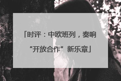 时评：中欧班列，奏响“开放合作”新乐章