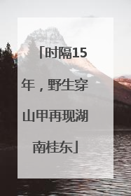 时隔15年，野生穿山甲再现湖南桂东