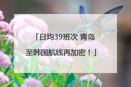 日均39班次 青岛至韩国航线再加密！