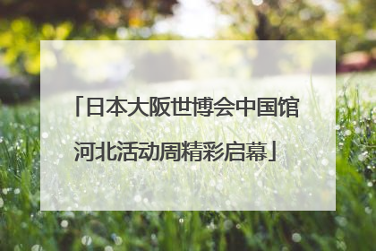 日本大阪世博会中国馆河北活动周精彩启幕