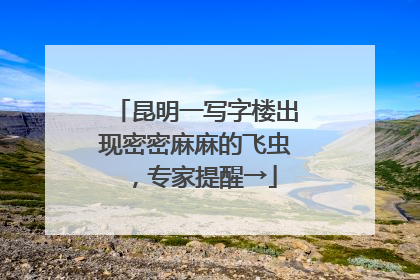 昆明一写字楼出现密密麻麻的飞虫，专家提醒→