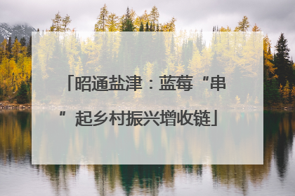 昭通盐津：蓝莓“串”起乡村振兴增收链