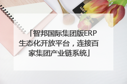 智邦国际集团版ERP生态化开放平台，连接百家集团产业链系统