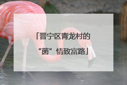晋宁区青龙村的“菌”情致富路