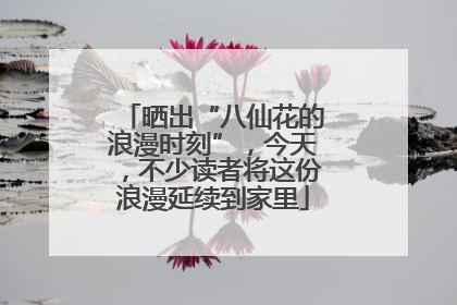 晒出“八仙花的浪漫时刻”，今天，不少读者将这份浪漫延续到家里