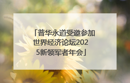 普华永道受邀参加世界经济论坛2025新领军者年会
