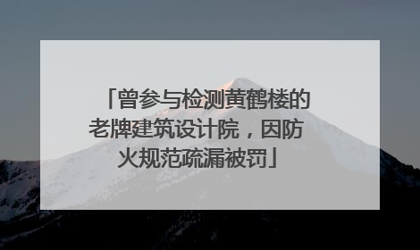 曾参与检测黄鹤楼的老牌建筑设计院，因防火规范疏漏被罚