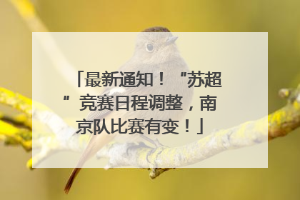 最新通知！“苏超”竞赛日程调整，南京队比赛有变！