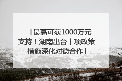 最高可获1000万元支持！湖南出台十项政策措施深化对德合作
