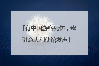 有中国游客死伤，我驻意大利使馆发声