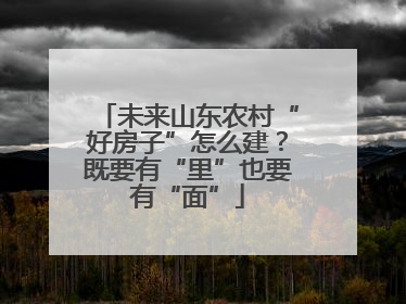 未来山东农村“好房子”怎么建？既要有“里”也要有“面”