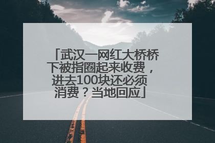 武汉一网红大桥桥下被指圈起来收费，进去100块还必须消费？当地回应