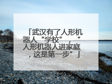 武汉有了人形机器人“学校”，“人形机器人进家庭，这是第一步”