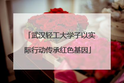 武汉轻工大学子以实际行动传承红色基因