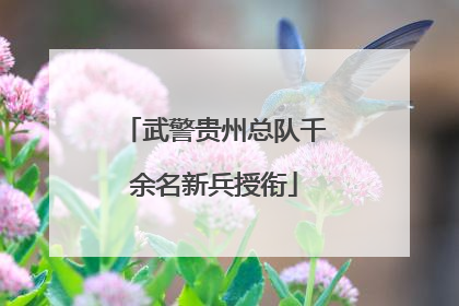 武警贵州总队千余名新兵授衔