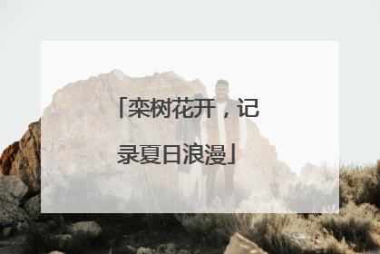 栾树花开，记录夏日浪漫