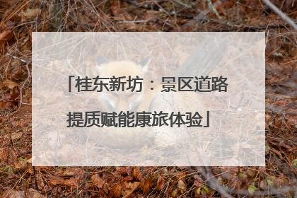 桂东新坊：景区道路提质赋能康旅体验