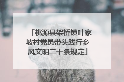 桃源县架桥镇叶家坡村党员带头践行乡风文明二十条规定