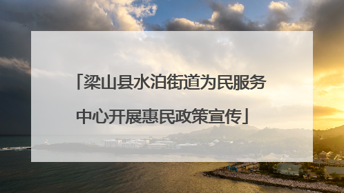 梁山县水泊街道为民服务中心开展惠民政策宣传