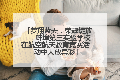 梦翔蓝天，荣耀绽放——蚌埠第三实验学校在航空航天教育竞赛活动中大放异彩