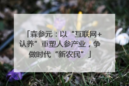 森参元：以“互联网+认养”重塑人参产业，争做时代“新农民”