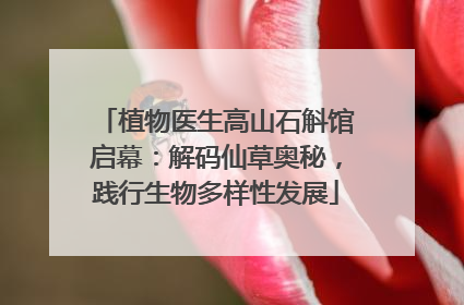 植物医生高山石斛馆启幕：解码仙草奥秘，践行生物多样性发展