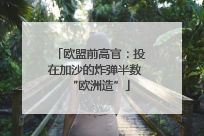 欧盟前高官：投在加沙的炸弹半数“欧洲造”