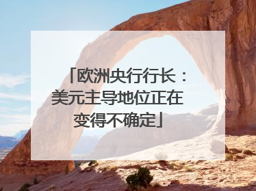 欧洲央行行长：美元主导地位正在变得不确定