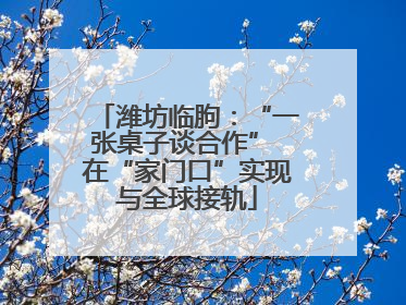潍坊临朐：“一张桌子谈合作” 在“家门口”实现与全球接轨