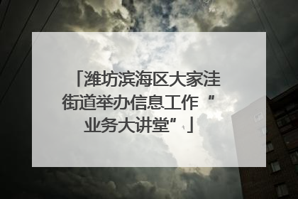 潍坊滨海区大家洼街道举办信息工作“业务大讲堂”