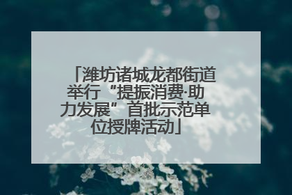 潍坊诸城龙都街道举行“提振消费·助力发展”首批示范单位授牌活动