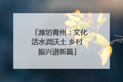 潍坊青州：文化活水润沃土 乡村振兴谱新篇