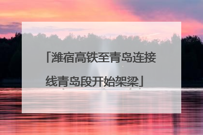 潍宿高铁至青岛连接线青岛段开始架梁